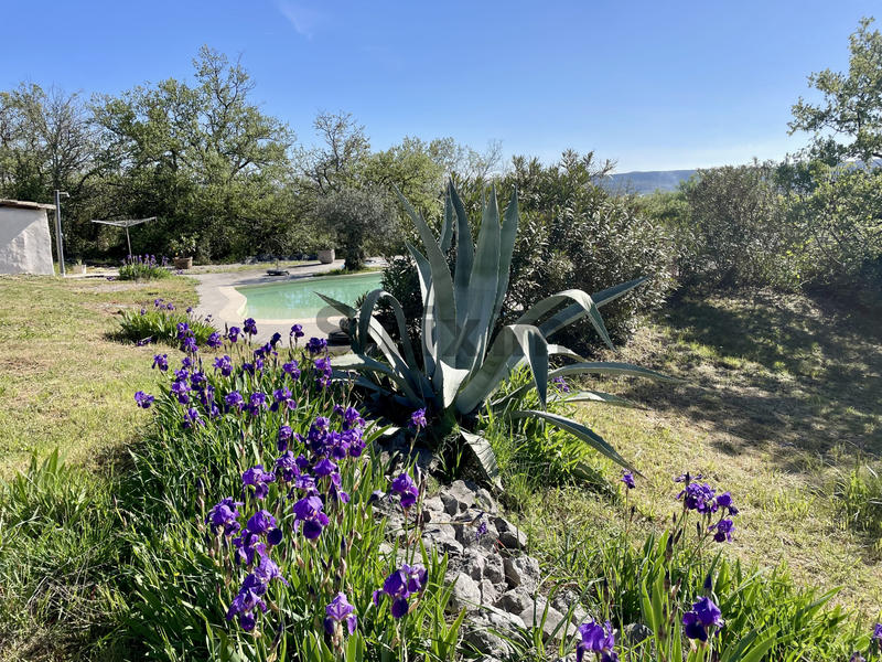 Propriété - 447 m² - 17 pièces