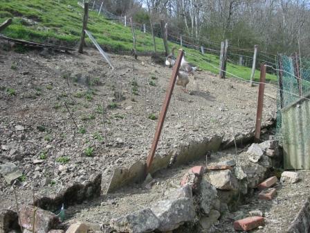 Maison - 56 m² - 3 pièces