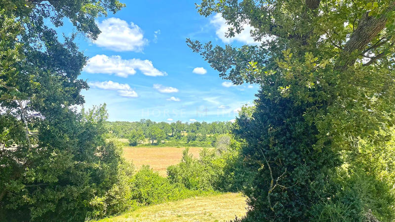 Bastide - 600 m² - 20 pièces