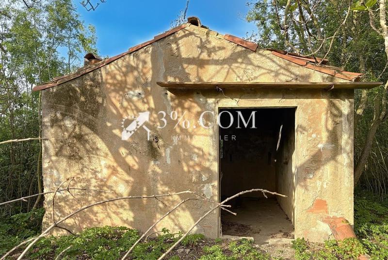 Terrain de loisirs - 4 558 m²