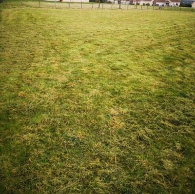 Terrain constructible - 1 052 m²