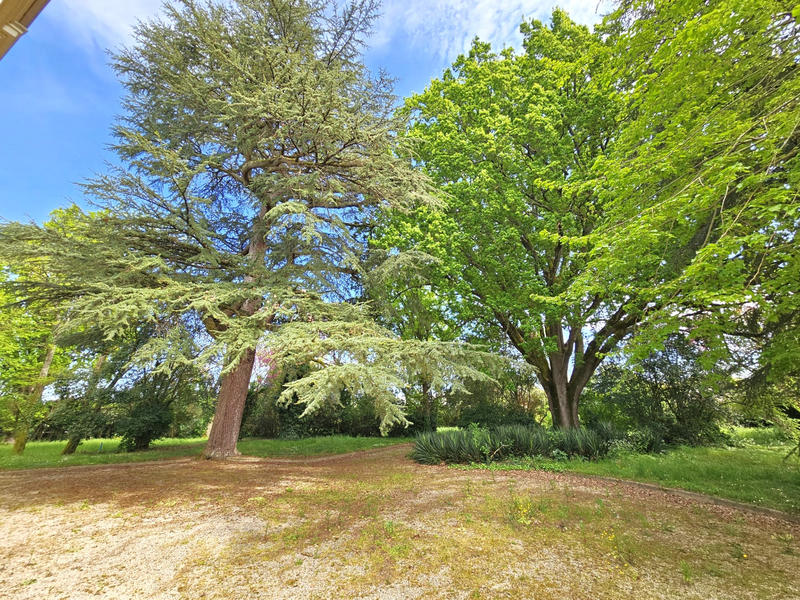 Maison - 446 m² - 14 pièces