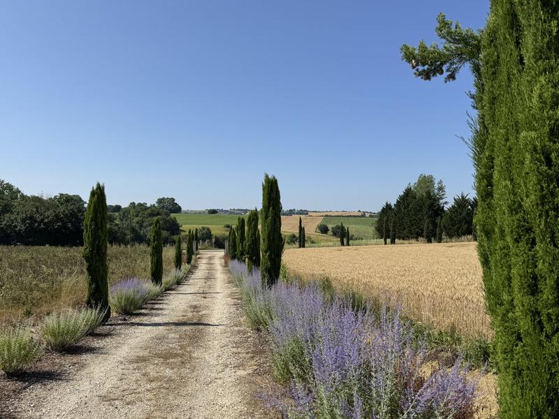 Maison - 445 m² - 10 pièces