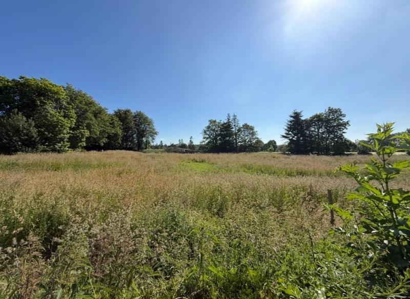 Terrain constructible - 1 484 m²