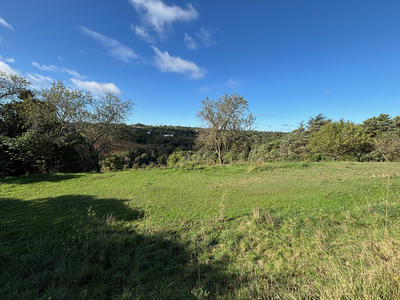 Terrain - 1 384 m²