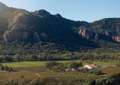 Mas - 800 m² - 15 pièces