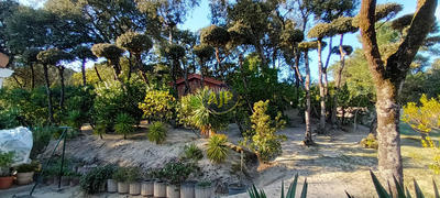 Maison - 126 m² - 5 pièces