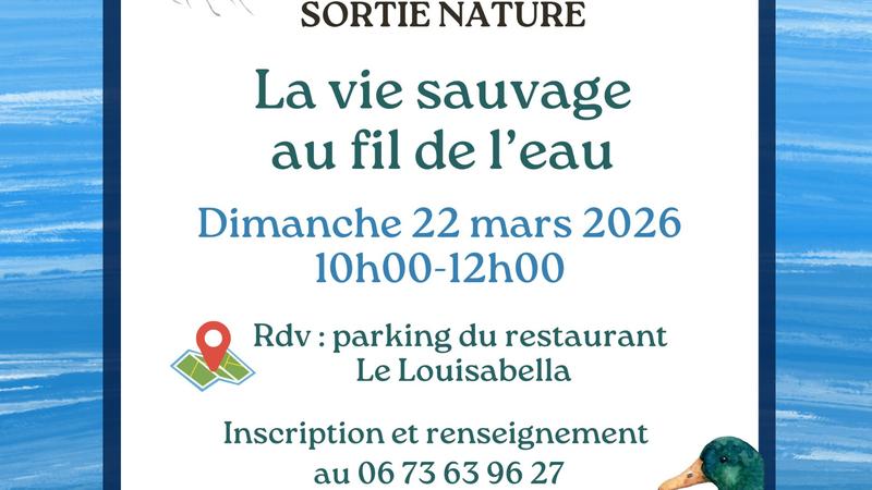 Sortie Nature : la vie sauvage au fil de l'eau