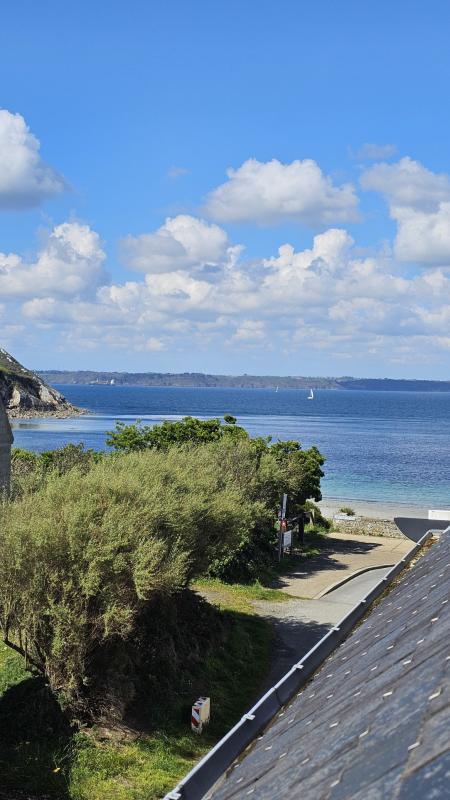 Duplex - 43 m² - 3 pièces