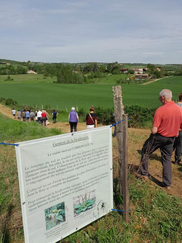Le sentier des 5 sens au Domaine les Hauts de Riquets balade gourmande