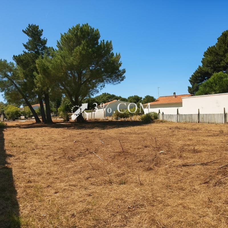 Terrain - 908 m²