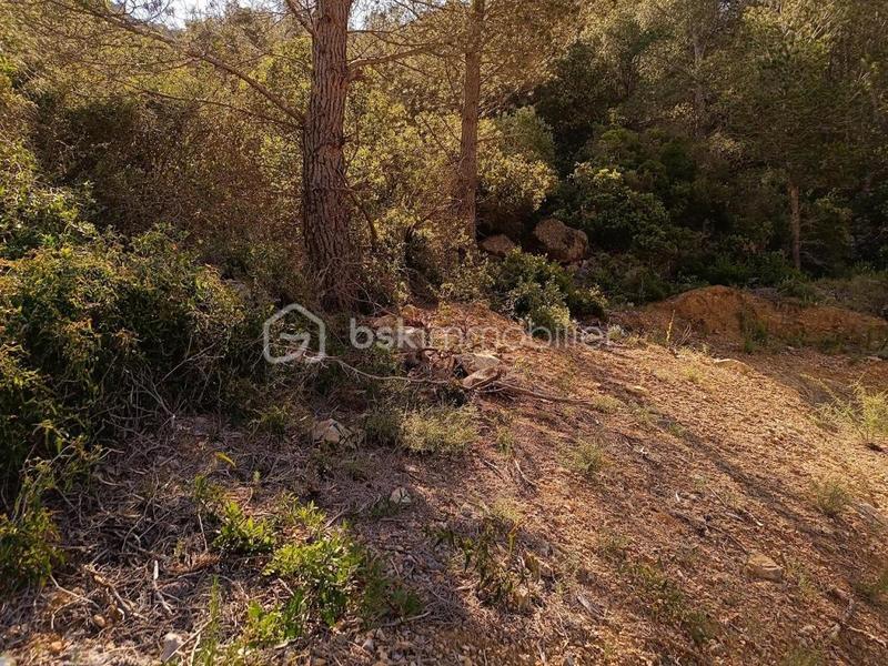 Terrain agricole - 2 045 m²