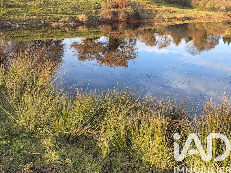 Terrain - 41 275 m²