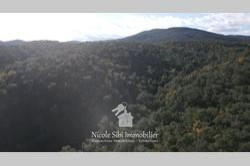 Terrain - 81 150 m²