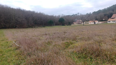 Terrain - 4 000 m²
