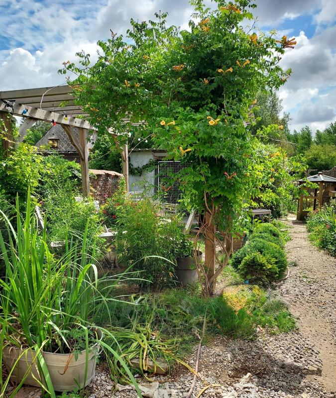 Maison - 87 m² - 4 pièces