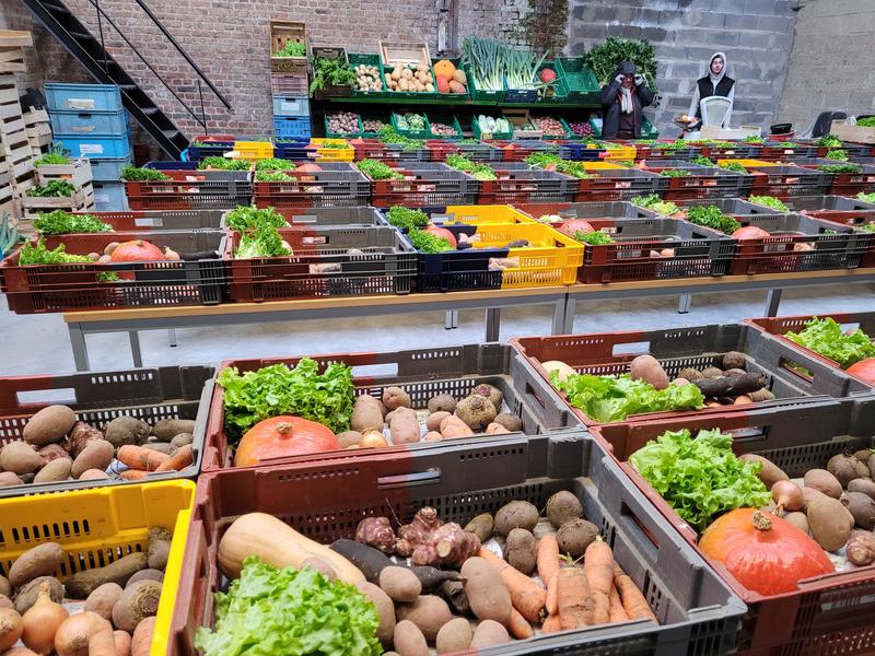 Les jardins d'insertion de l'Artois