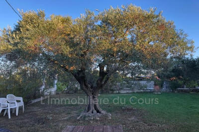 Maison - 39 m² - 3 pièces