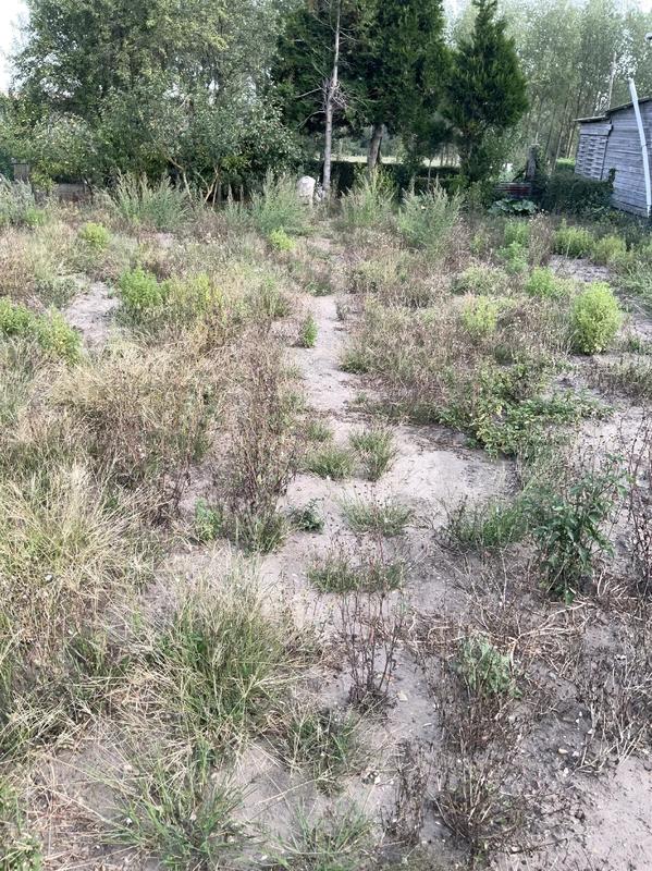 Maison - 50 m² - 2 pièces