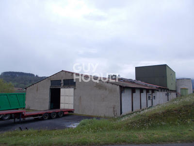 Local d'activité / Entrepôt - 2 300 m²