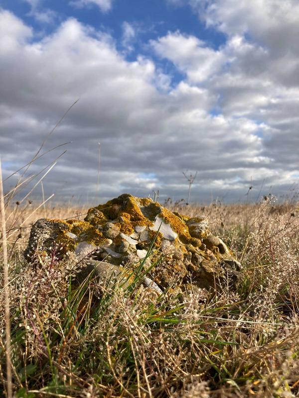 Visite de la Réserve des Coussouls de Crau