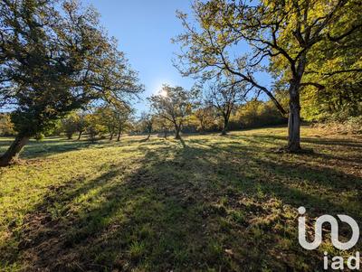 Terrain - 20 220 m²