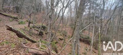 Terrain - 61 700 m²