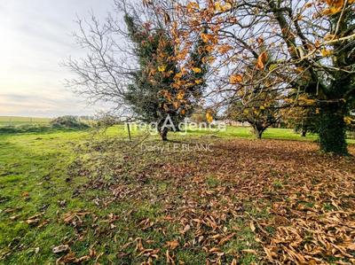 Terrain constructible - 698 m²