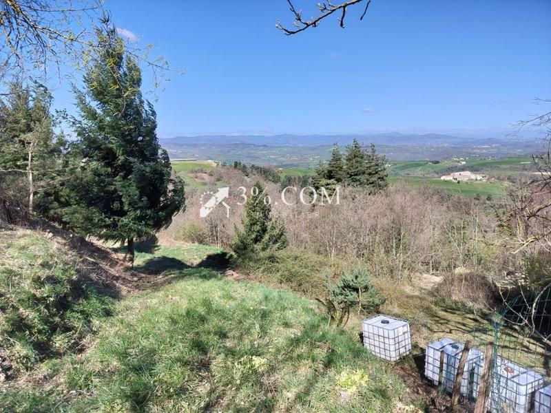 Maison en pierre - 120 m² - 5 pièces