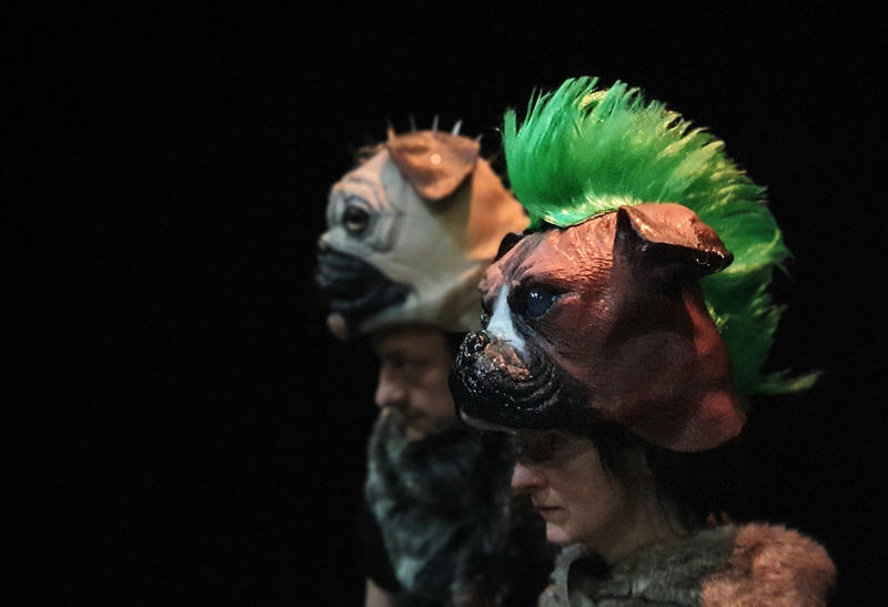 Théâtre musical - la Ferme des animals