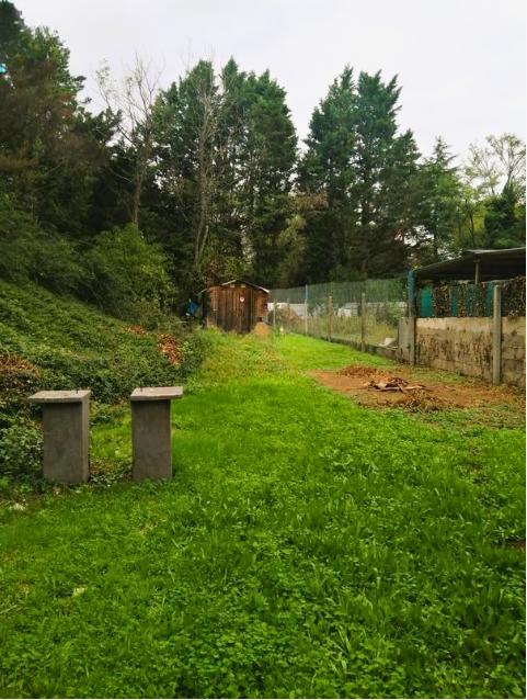 Maison - 10 m² - 4 pièces