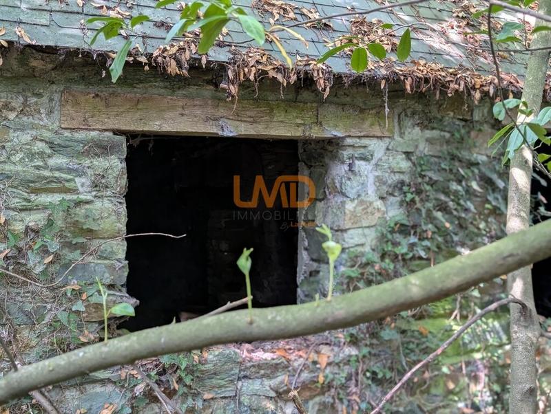 Maison en pierre - 60 m² - 2 pièces