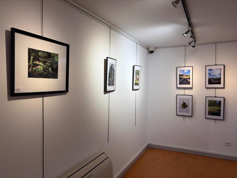 Exposition : Niederbronn-les-Bains au vert