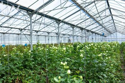 Terrain agricole - 293 m²