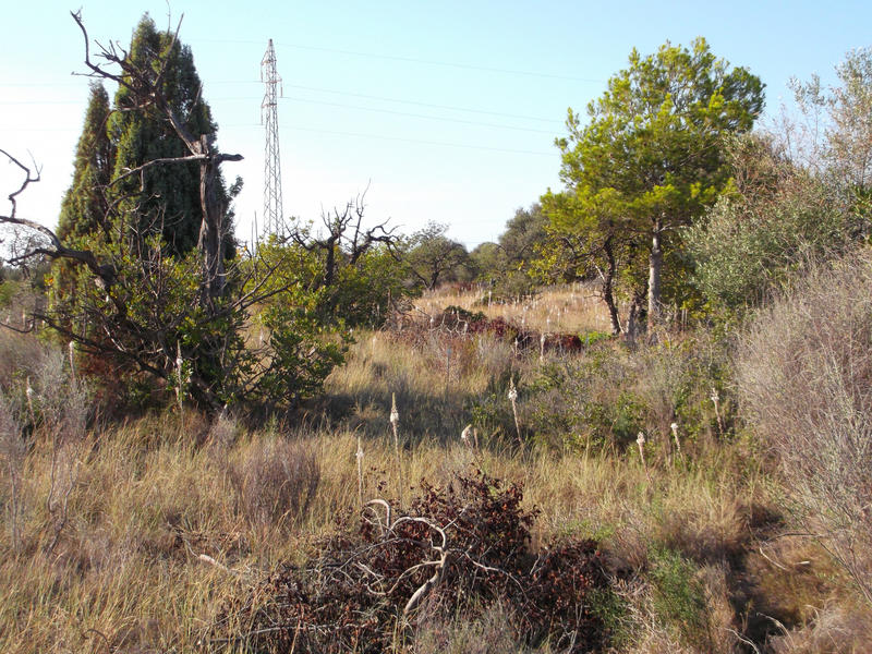 Terrain - 16 000 m²