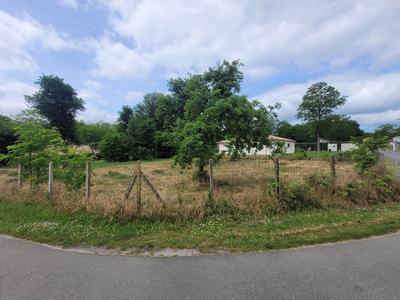 Terrain constructible - 1 244 m²