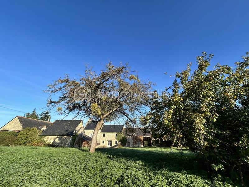 Corps de ferme - 190 m² - 8 pièces