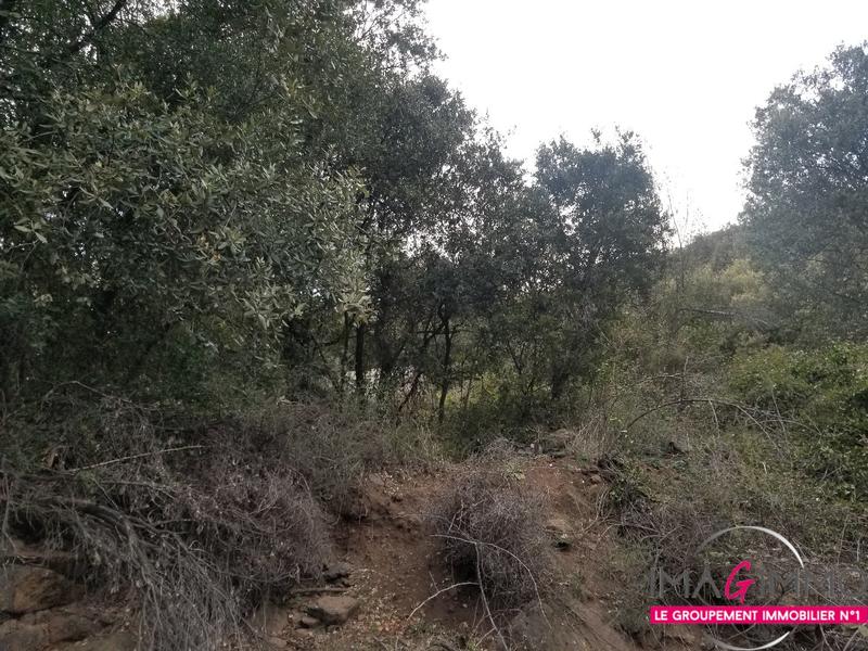 Terrain - 16 125 m²