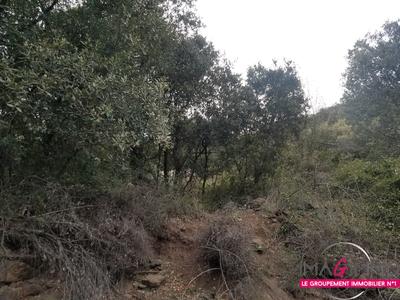 Terrain - 16 125 m²