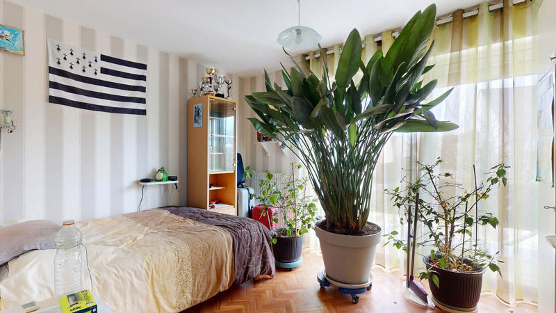 Viager - Maison - 156 m² - 8 pièces