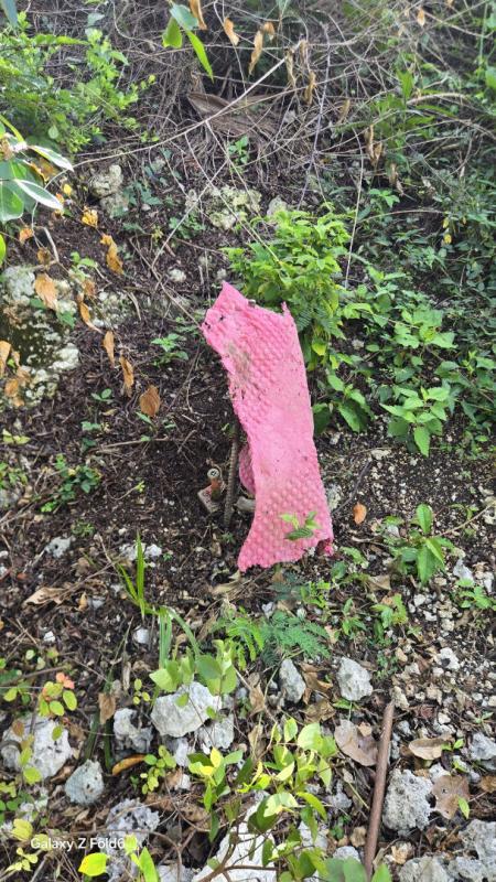 Terrain constructible - 3 000 m²