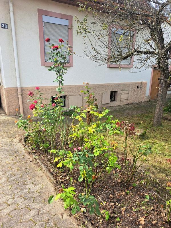 Maison ancienne - 96 m² - 7 pièces