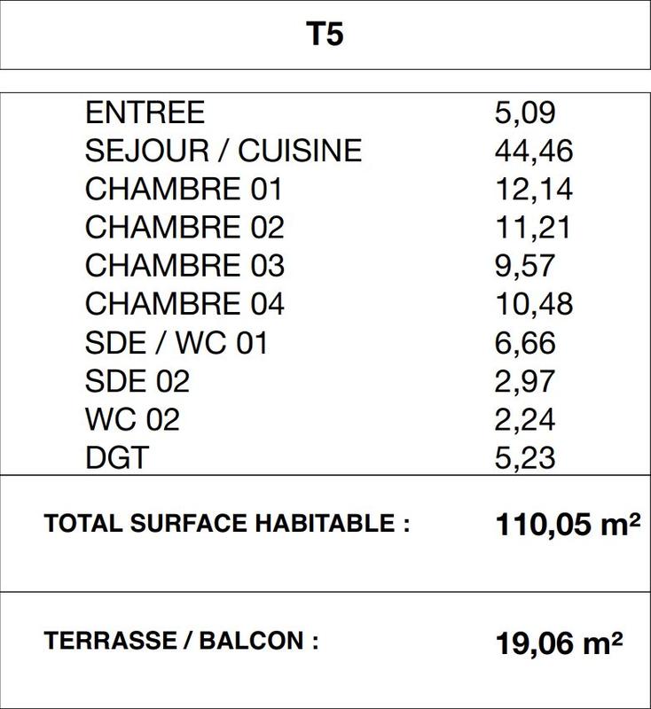 Appartement - 110 m² - 5 pièces