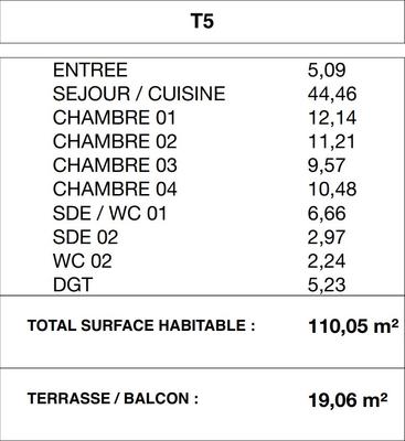 Appartement - 110 m² - 5 pièces