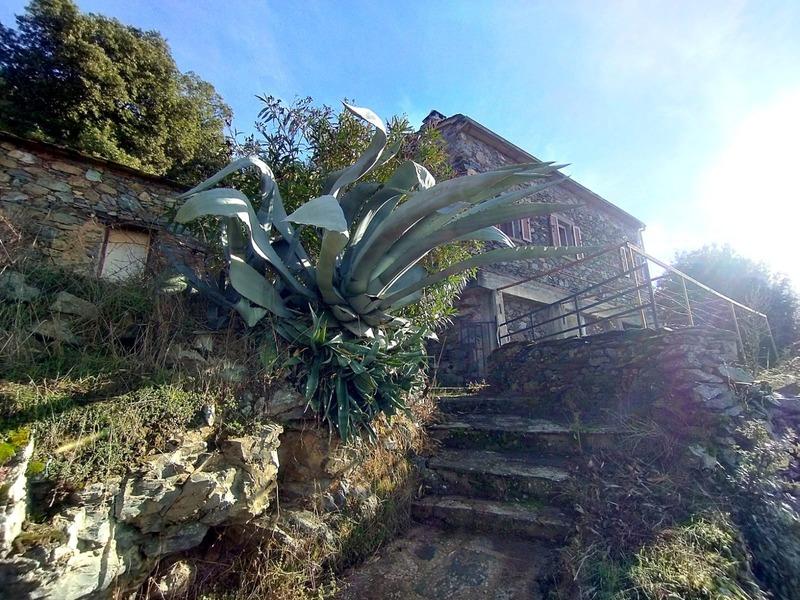 Maison - 111 m² - 5 pièces