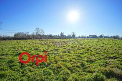 Terrain constructible - 1 780 m²