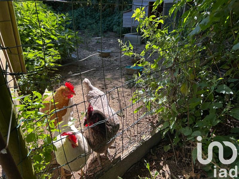 Maison - 110 m² - 5 pièces