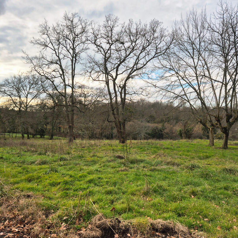 Maison - 238 m² - 9 pièces