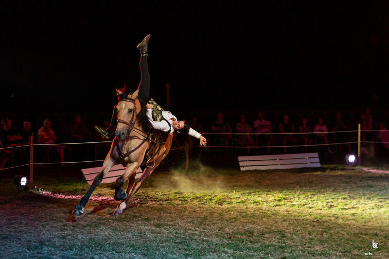 Les soirées de la Marquise