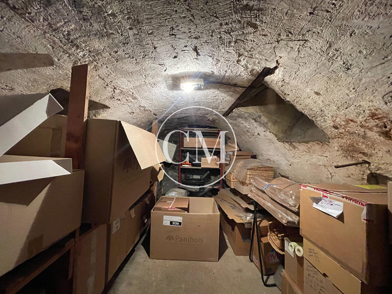 Immeuble - 12 pièces